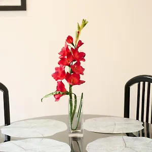 https://aligrama-cordoba.es-andalucia.com